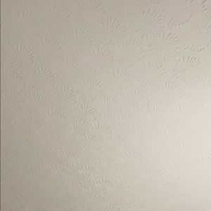 Meet your Posher, Noah